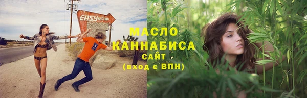 крисы Магас