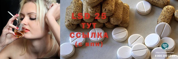 крисы Магас