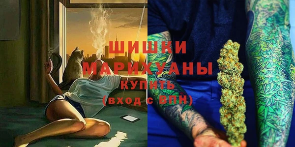 крисы Магас