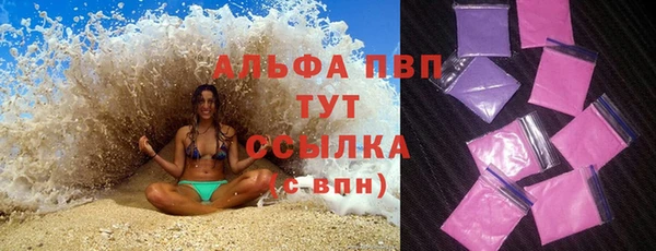 СК Магадан