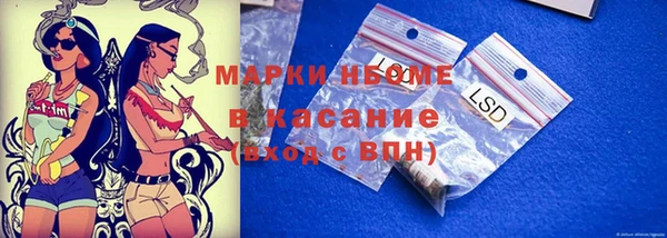 крисы Магас