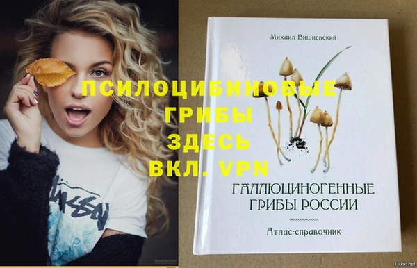 крисы Магас
