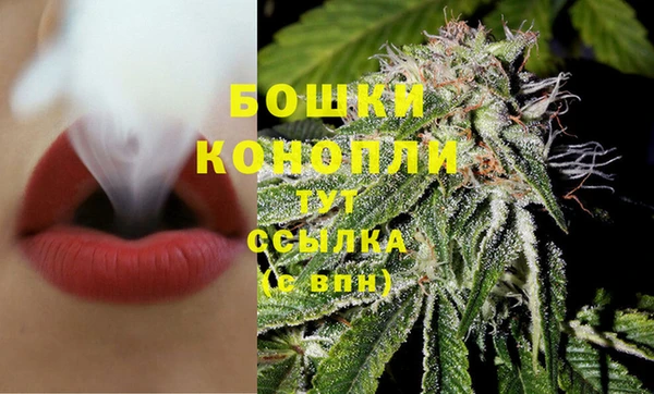 крисы Магас