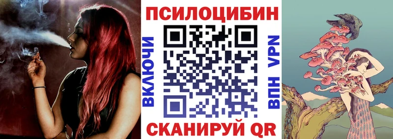 Псилоцибиновые грибы Psilocybine cubensis  Купить  Агрыз 